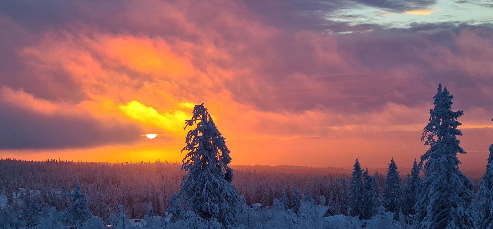 Utsikt terrasse Kubakken 15 Galleribilde