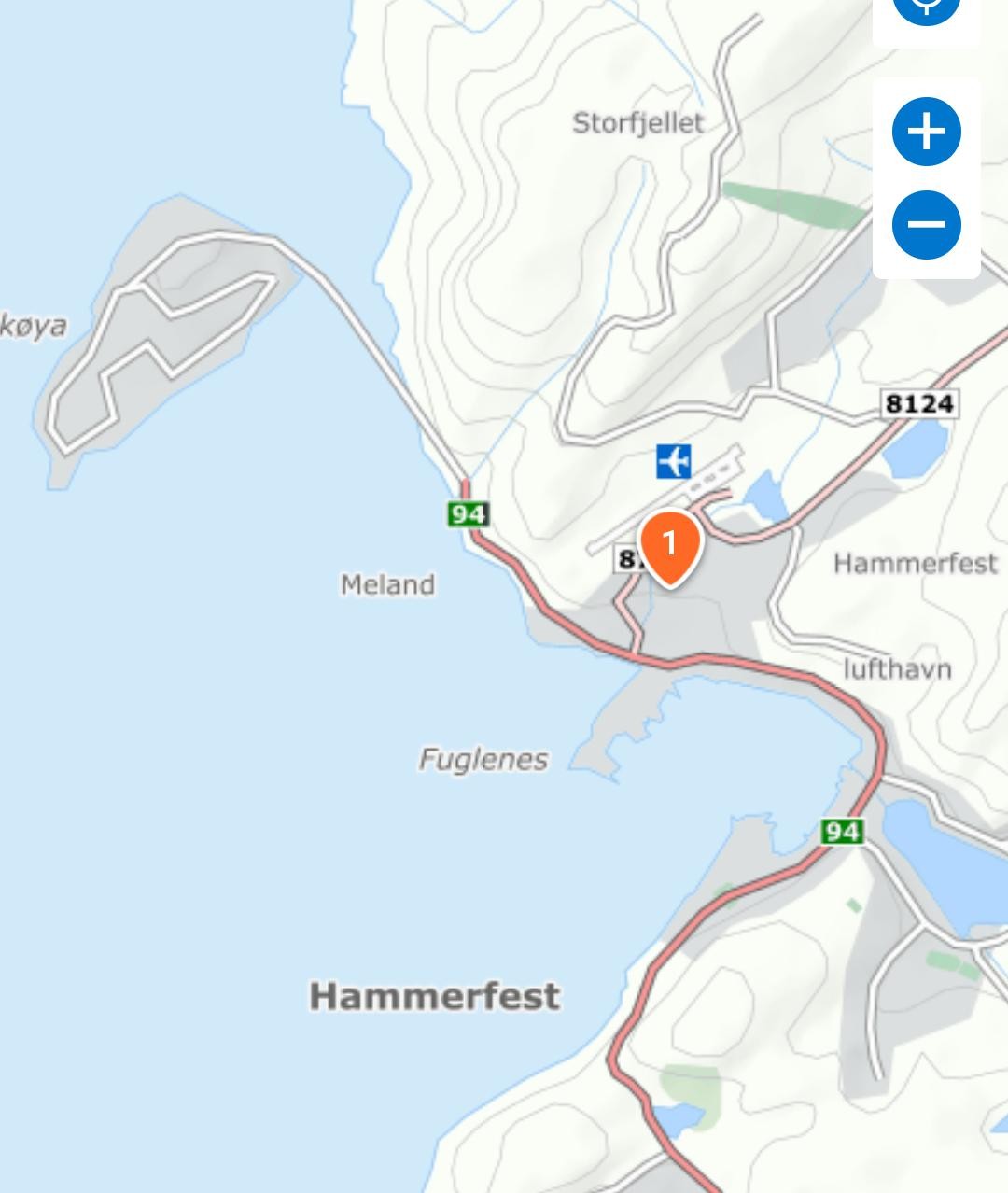 Sentralt på Fugleneset Galleribilde