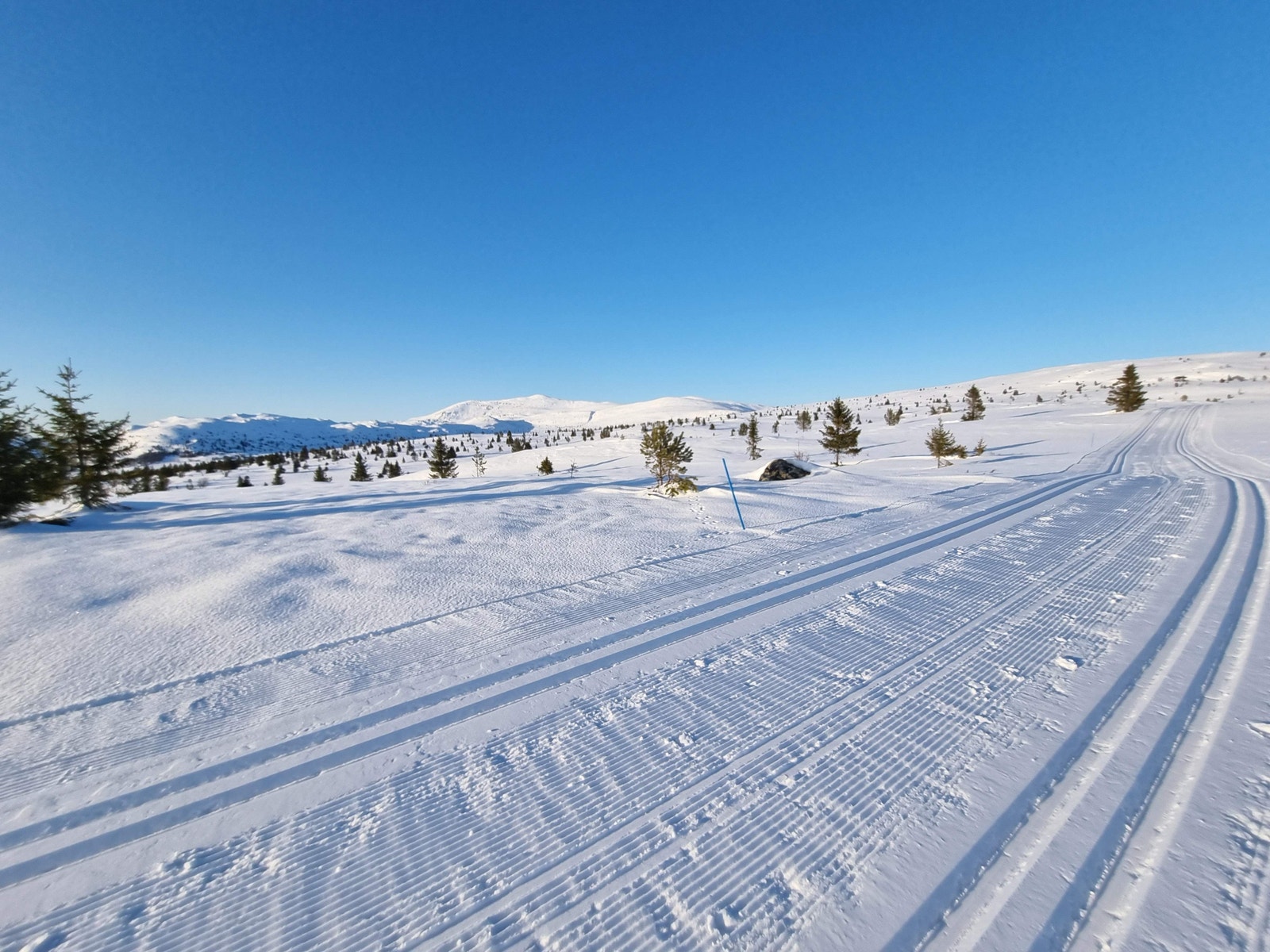 Nydelige skiforhold Galleribilde