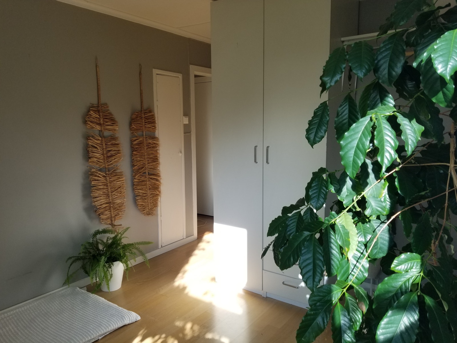 Rom til leie Galleribilde