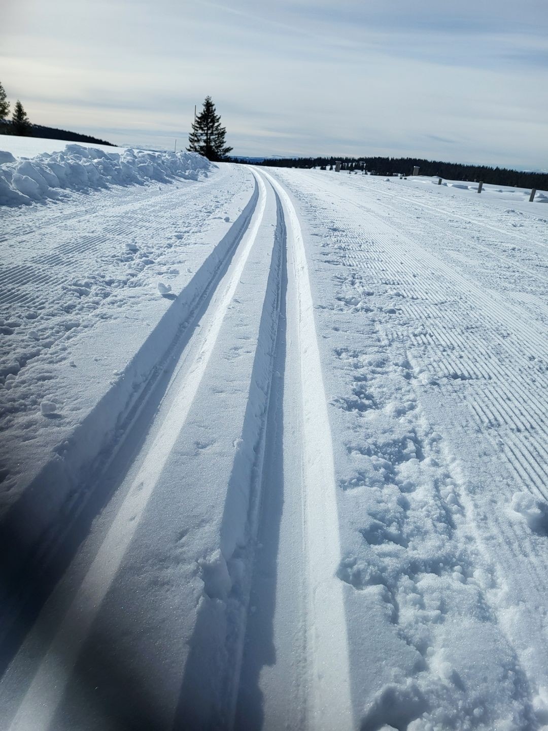 Skiløypene Galleribilde