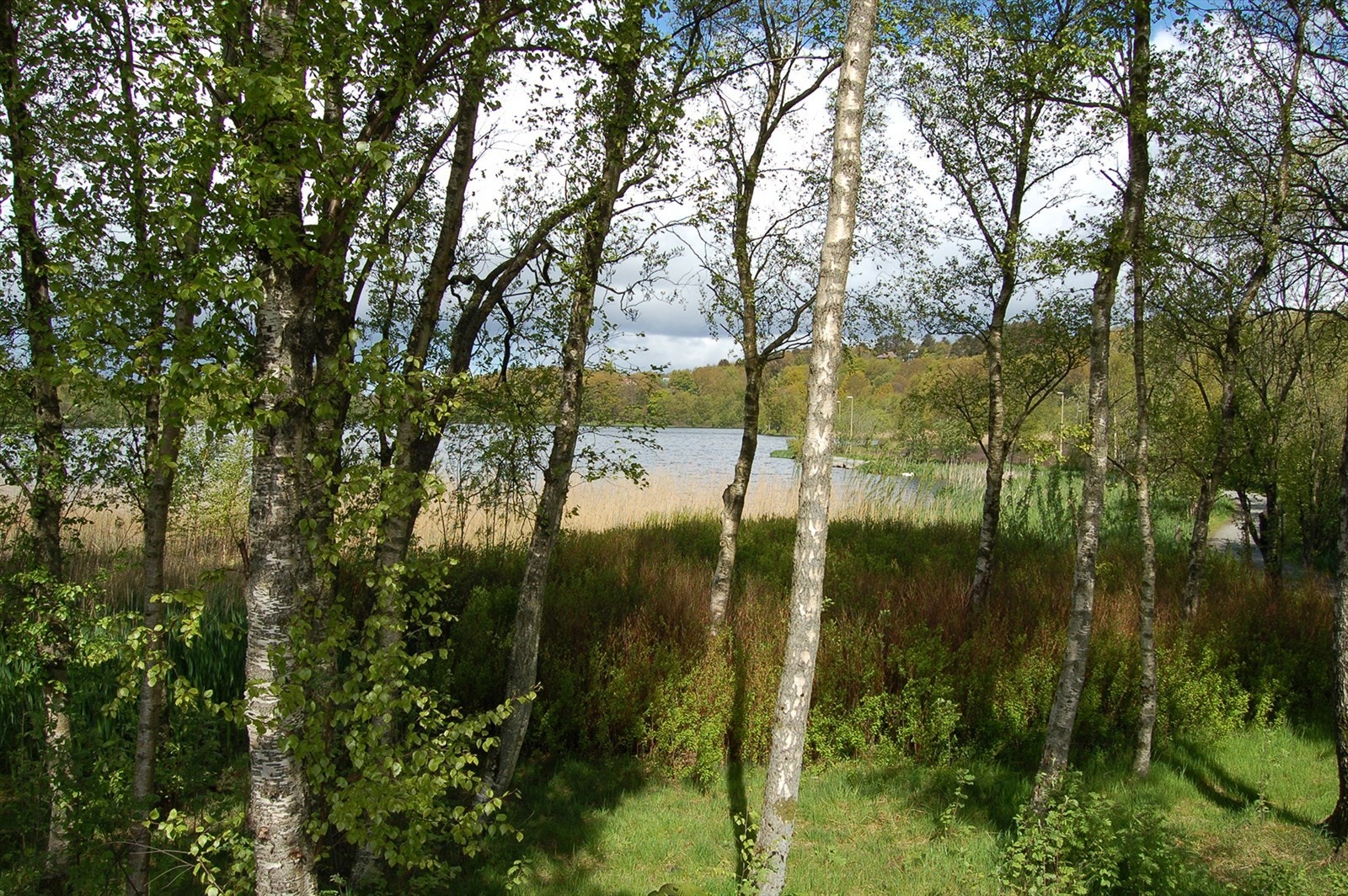 Nydelig turområder i nærheten rundt blant annet Lille- eller Store Stokkavatnet. Galleribilde