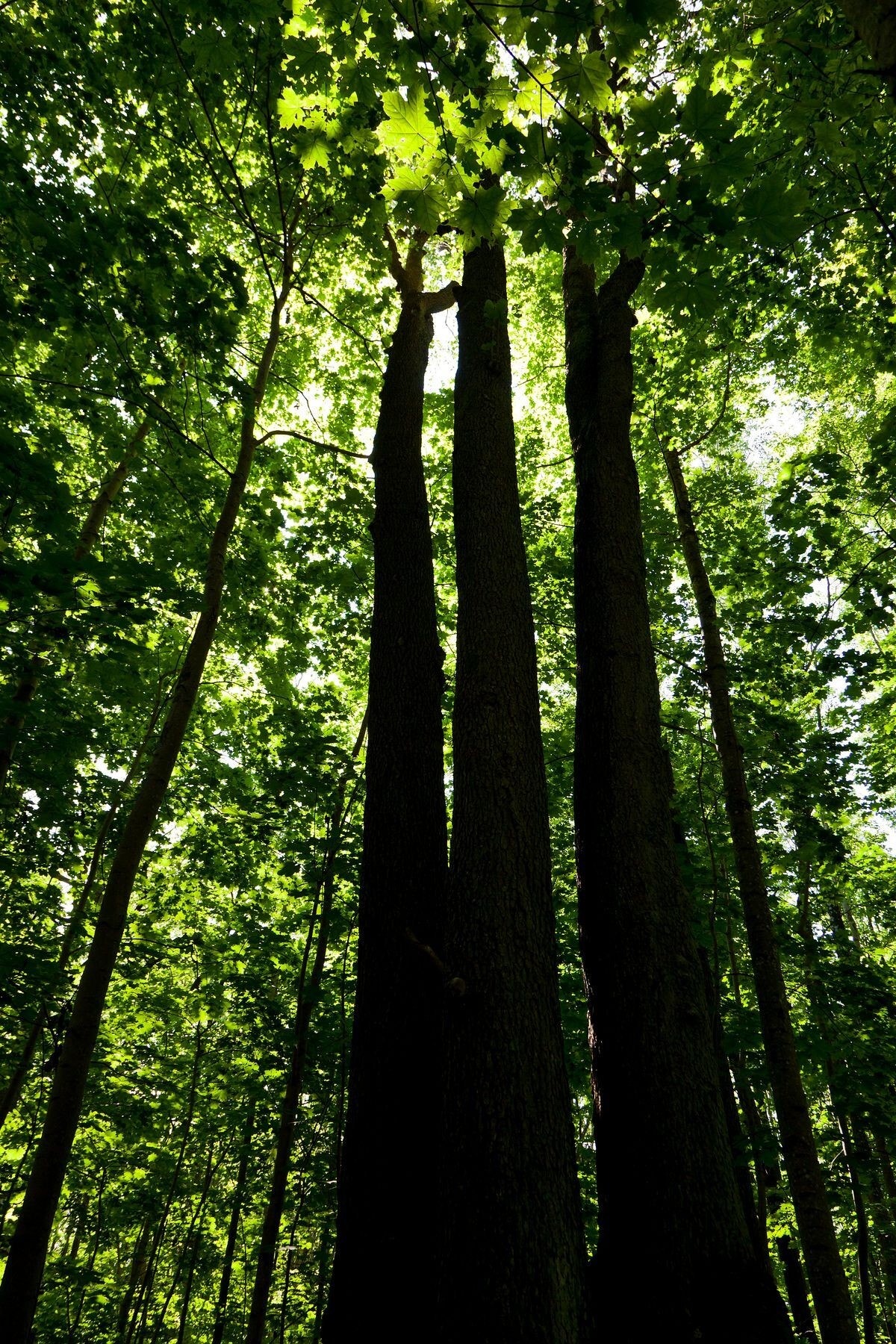 Flotte rekreasjonsmuligheter Galleribilde