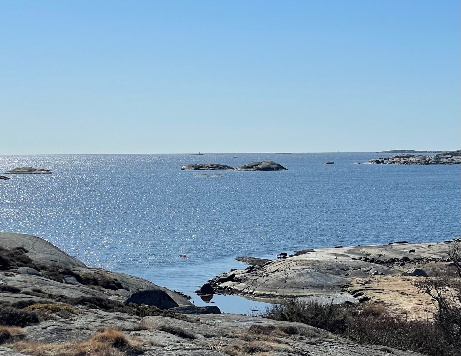 Utsikt fra terrasse syd Galleribilde