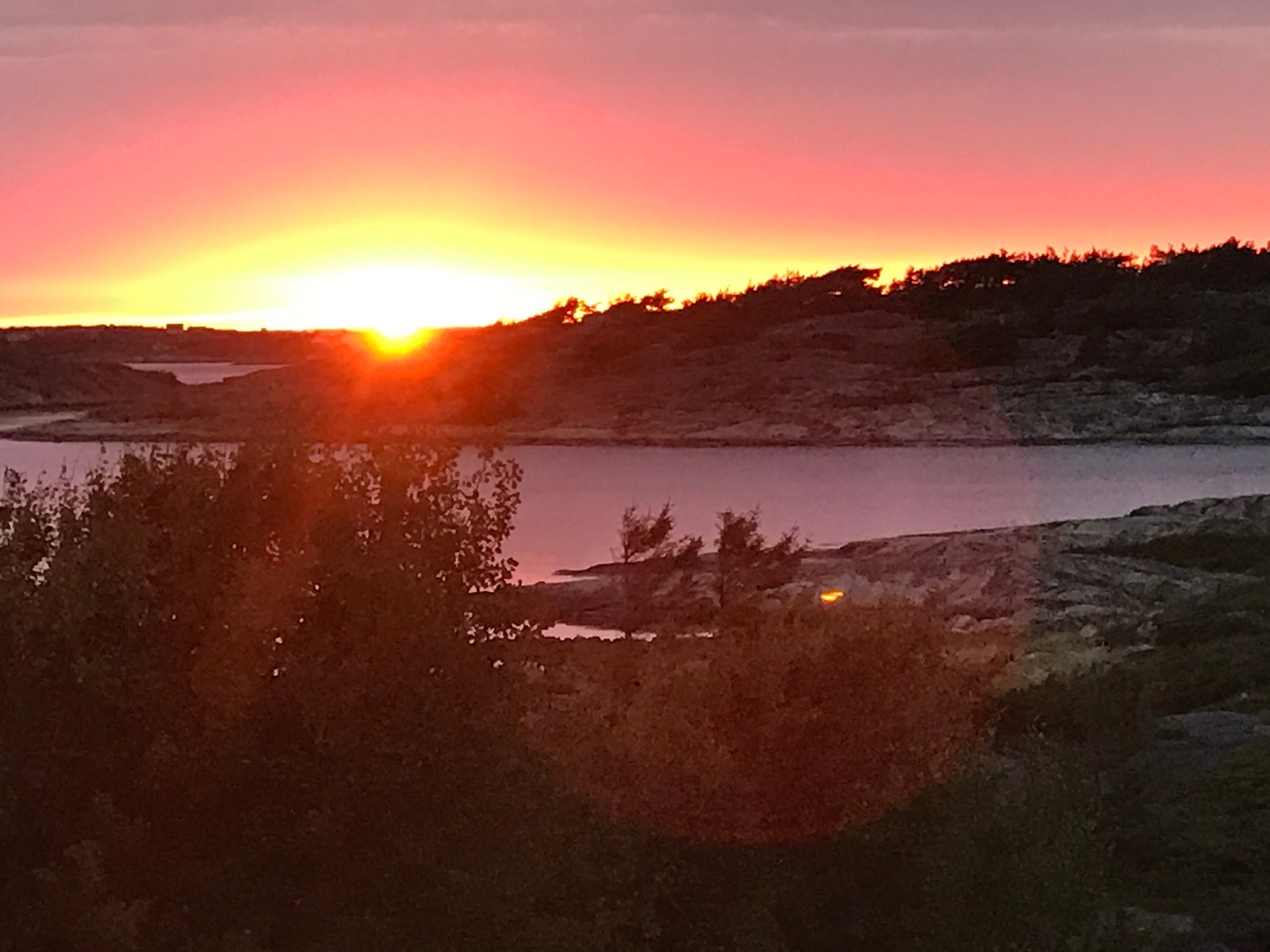 Solnedgang fra vestvendt terrasse Galleribilde