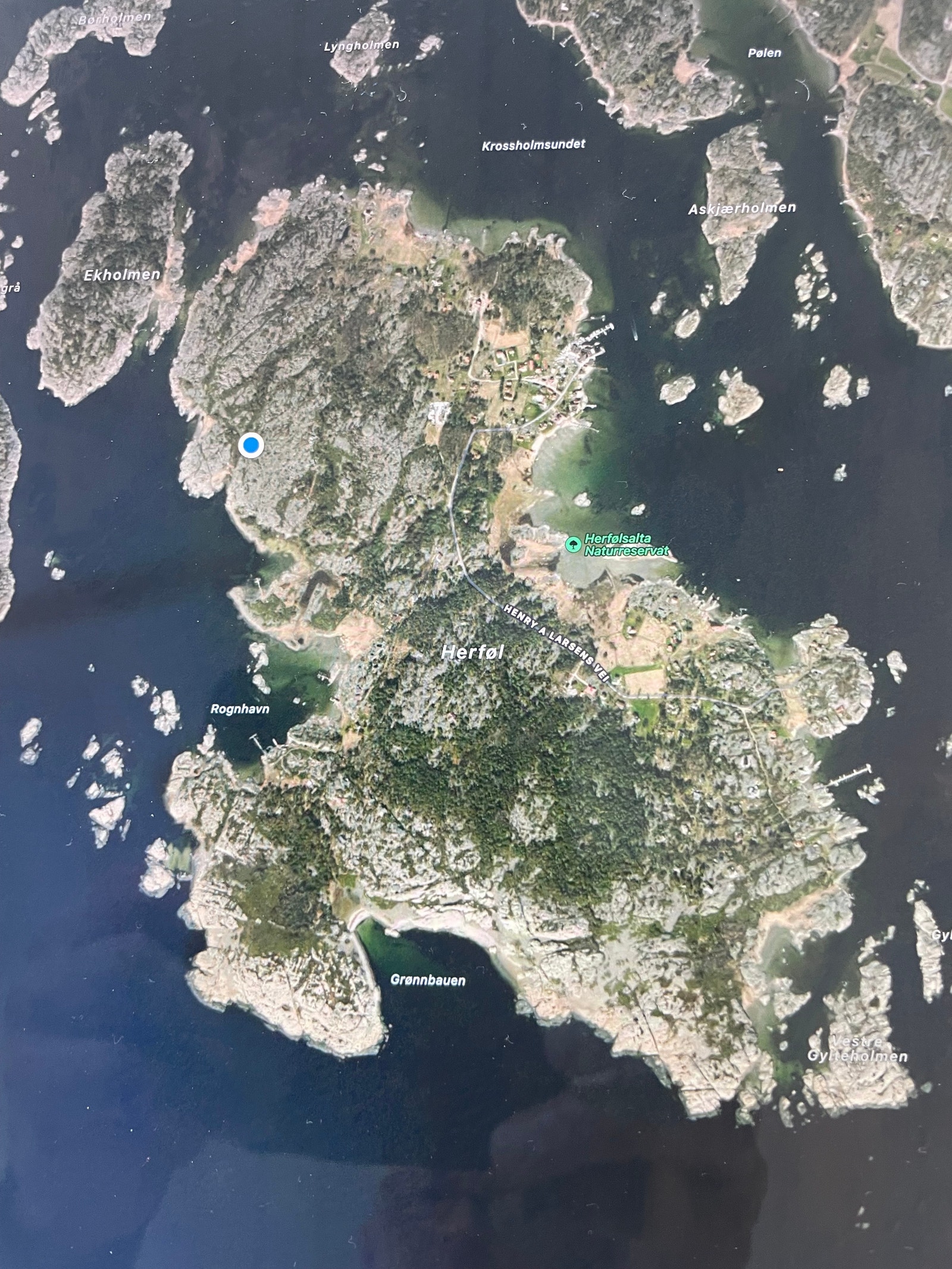 Herføl, blå prikk hyttas beliggenhet. Galleribilde