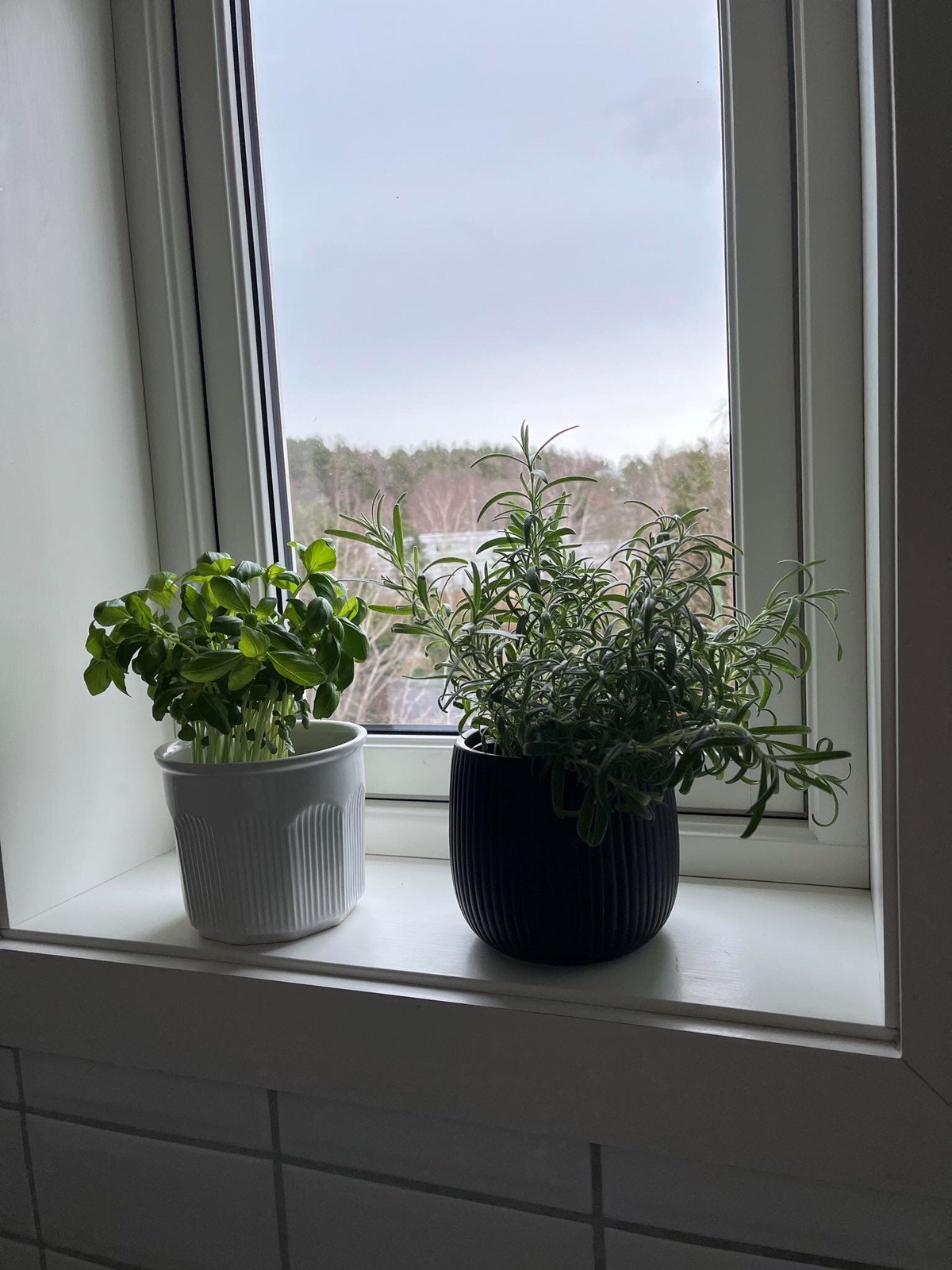 Utsikt fra soverom Galleribilde