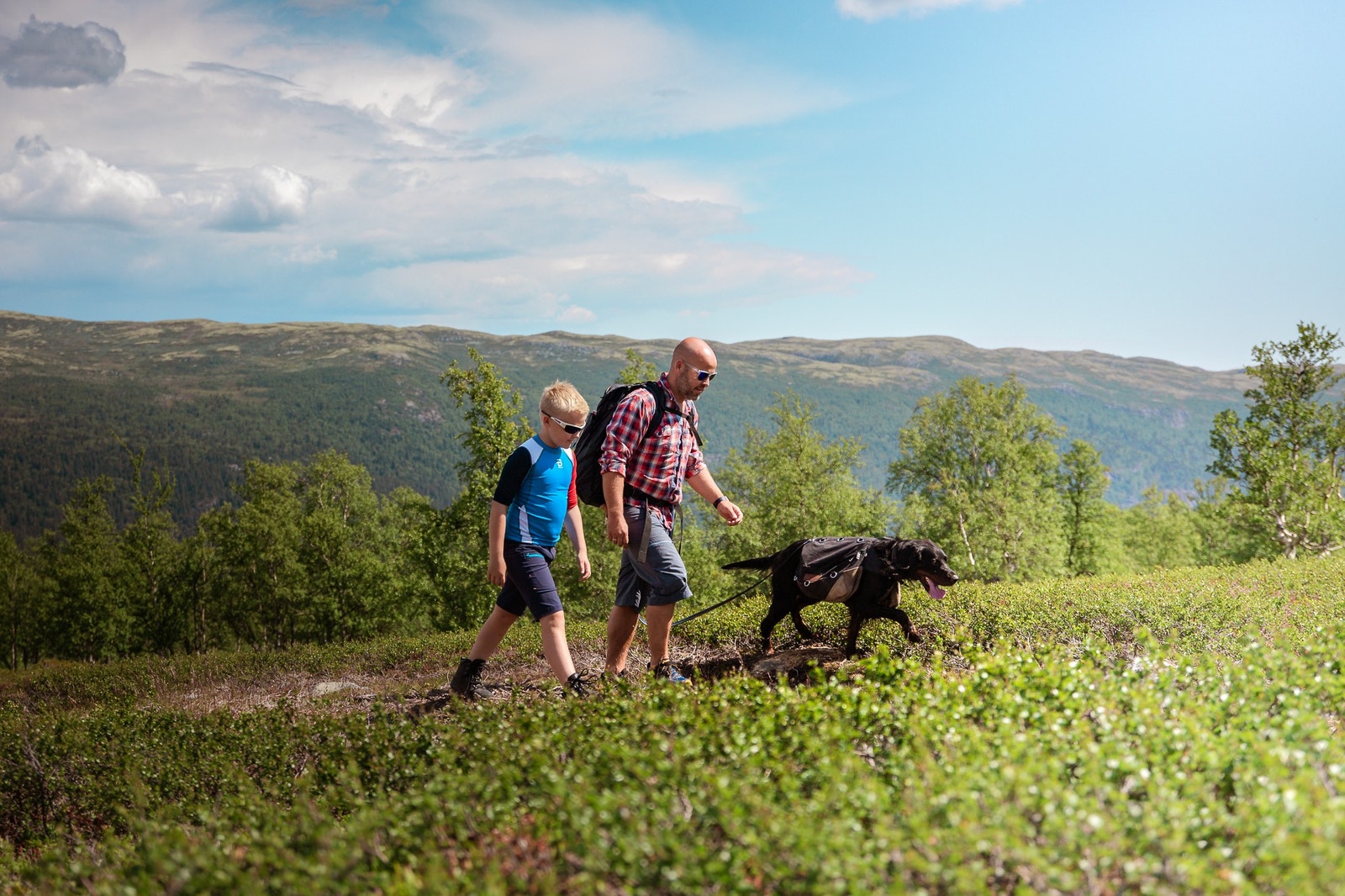 Dagalifjell, øvre Uvdal og Smådøl har familievennlig høyfjells terreng som innbyr til aktivitet hele året. Galleribilde
