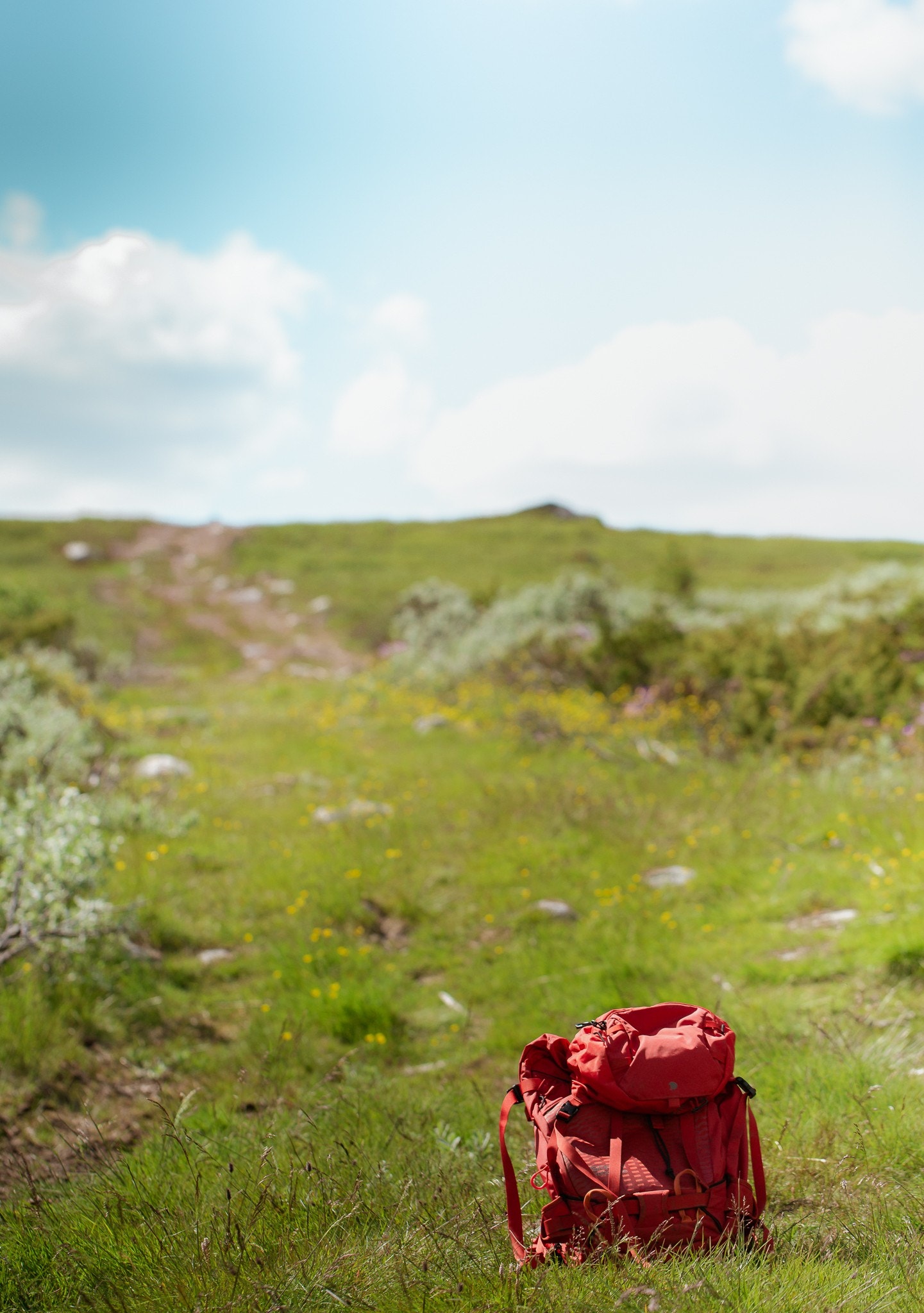Dagalifjell, øvre Uvdal og Smådøl har familievennlig høyfjells terreng som innbyr til aktivitet hele året. Galleribilde