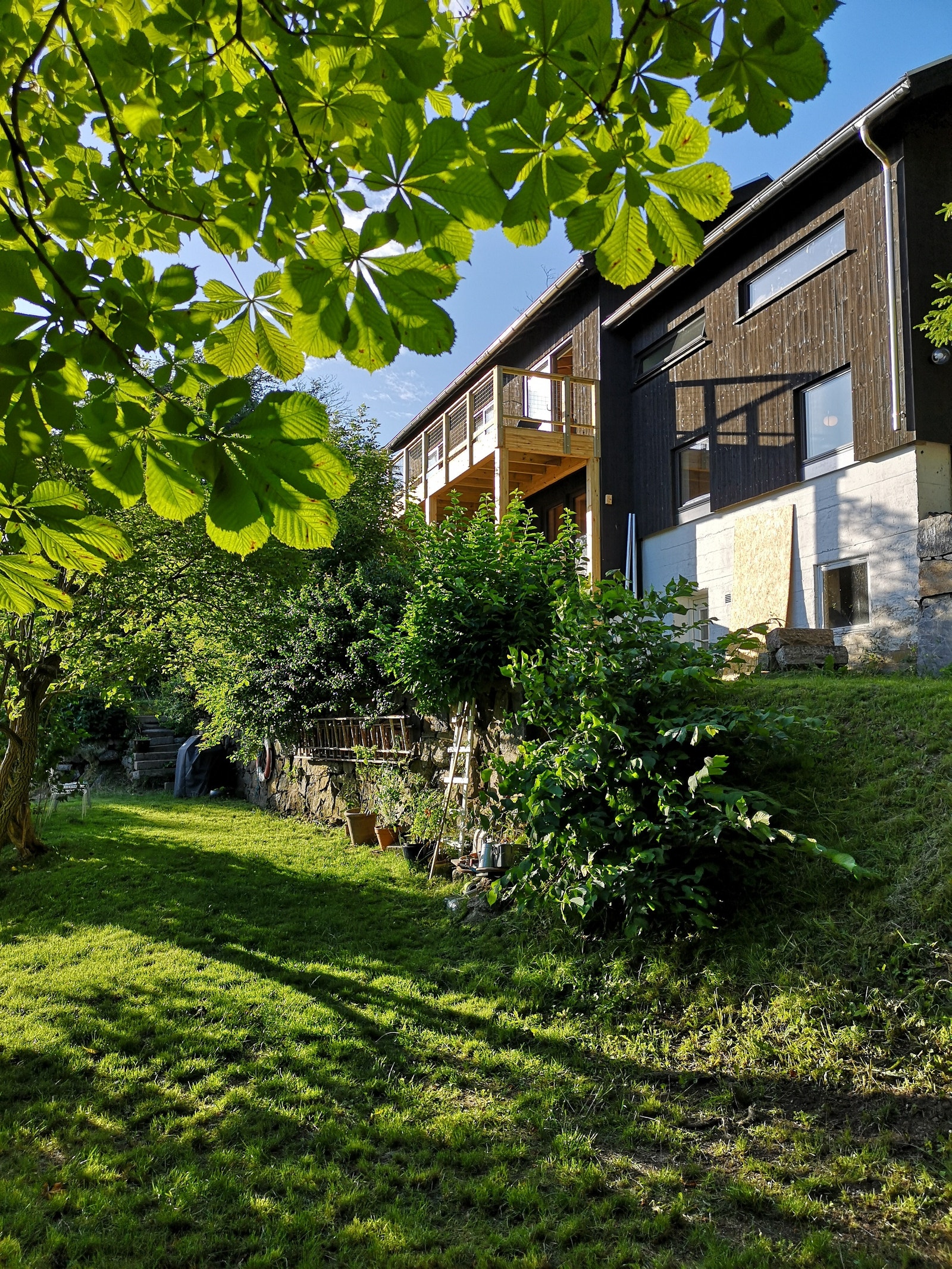 Frodig hage foran huset - perfekt for utemiddag. Galleribilde