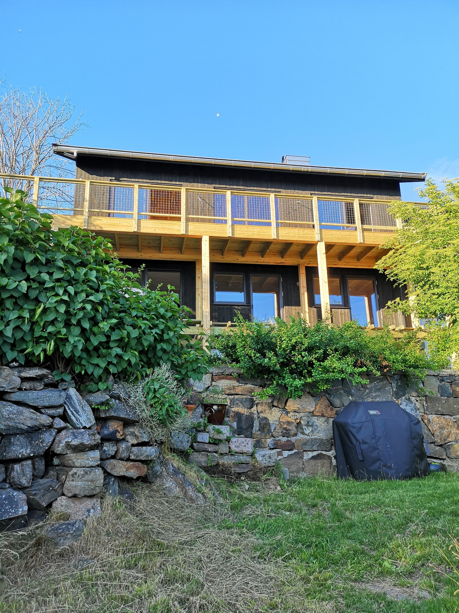 Brede terrasser med kveldssol Galleribilde