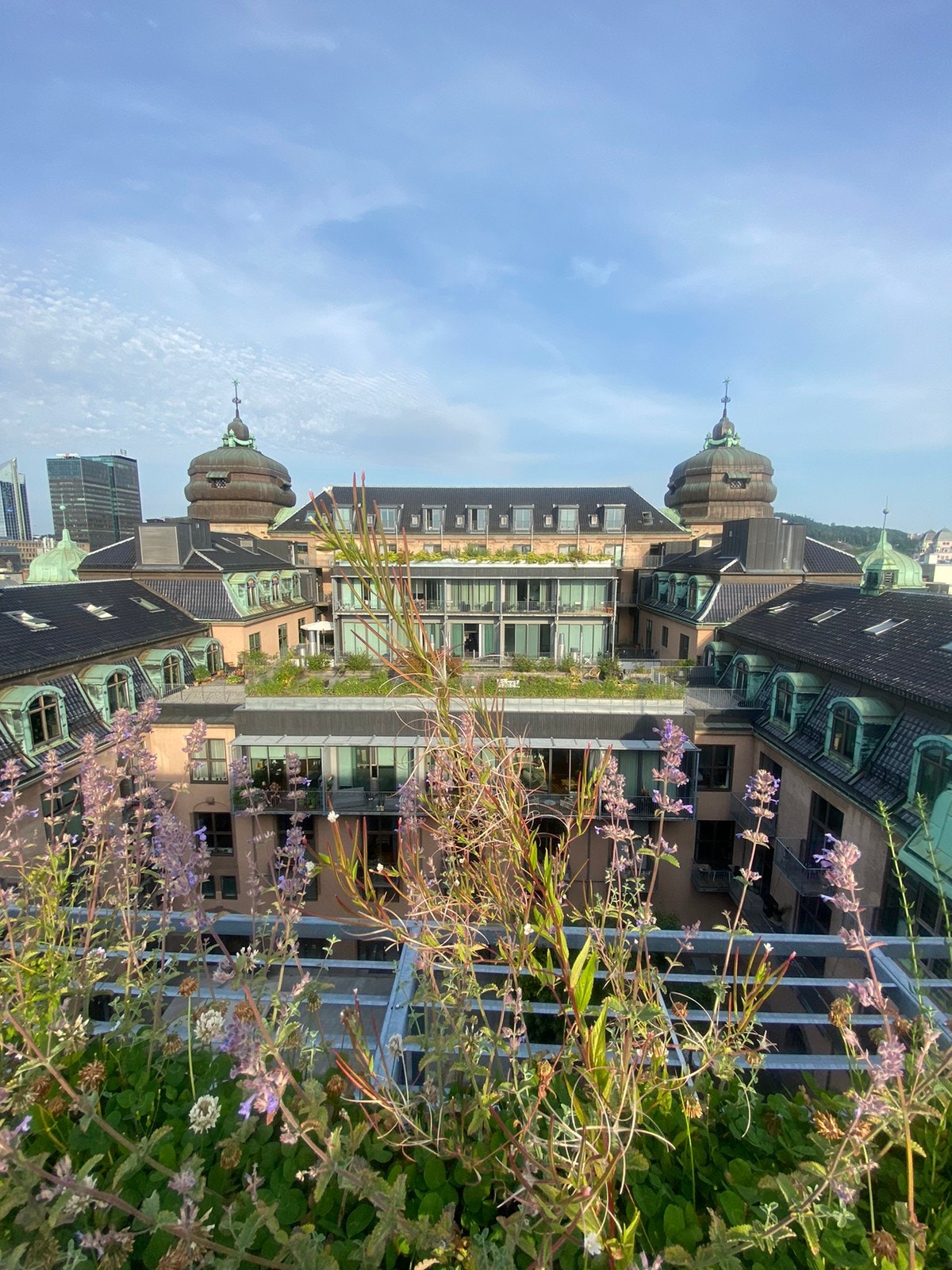 Takterasse Galleribilde