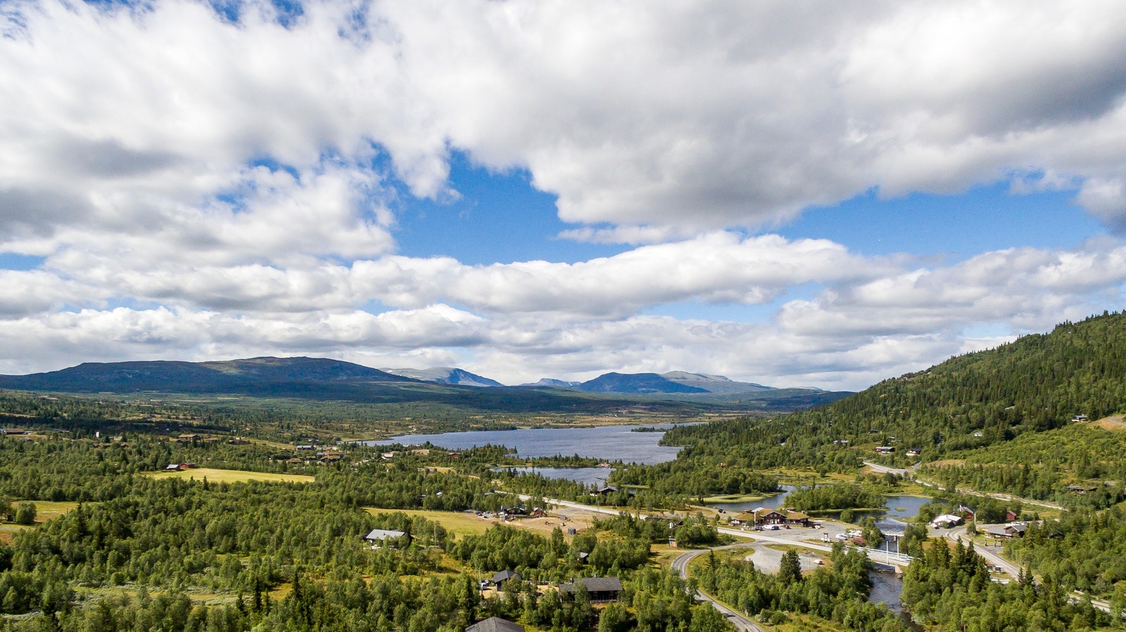 Områdebilde Vaset sommer Galleribilde