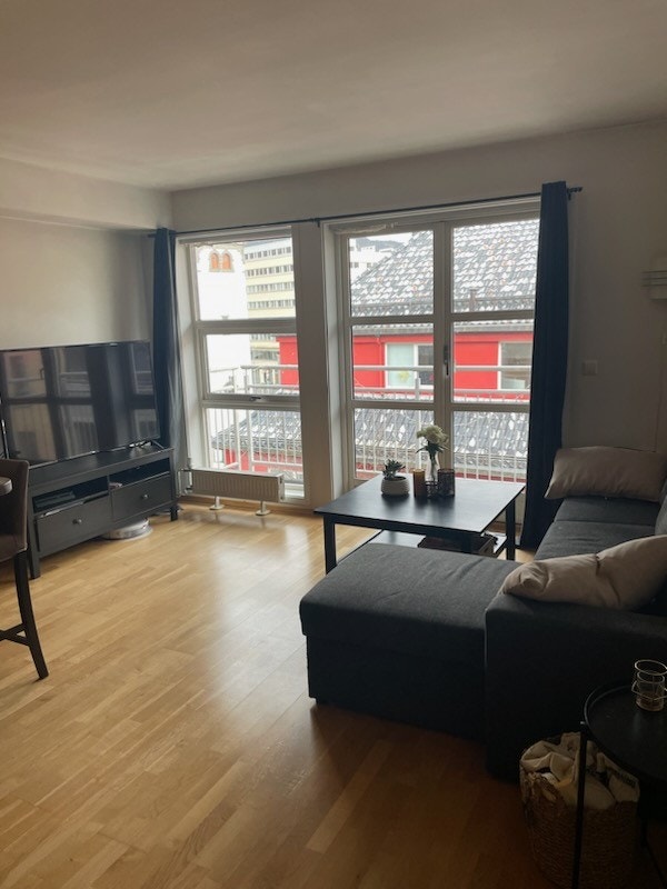 Fin utsikt mot Ulriken og Vidden Galleribilde