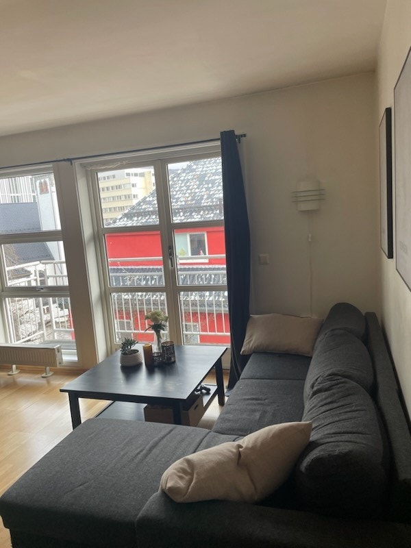 Stue med sydvendt altan Galleribilde