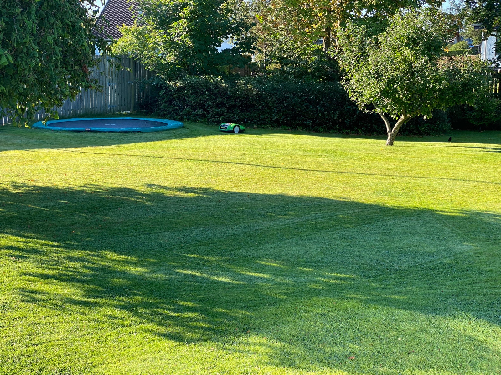 Nedgravd trampoline Galleribilde