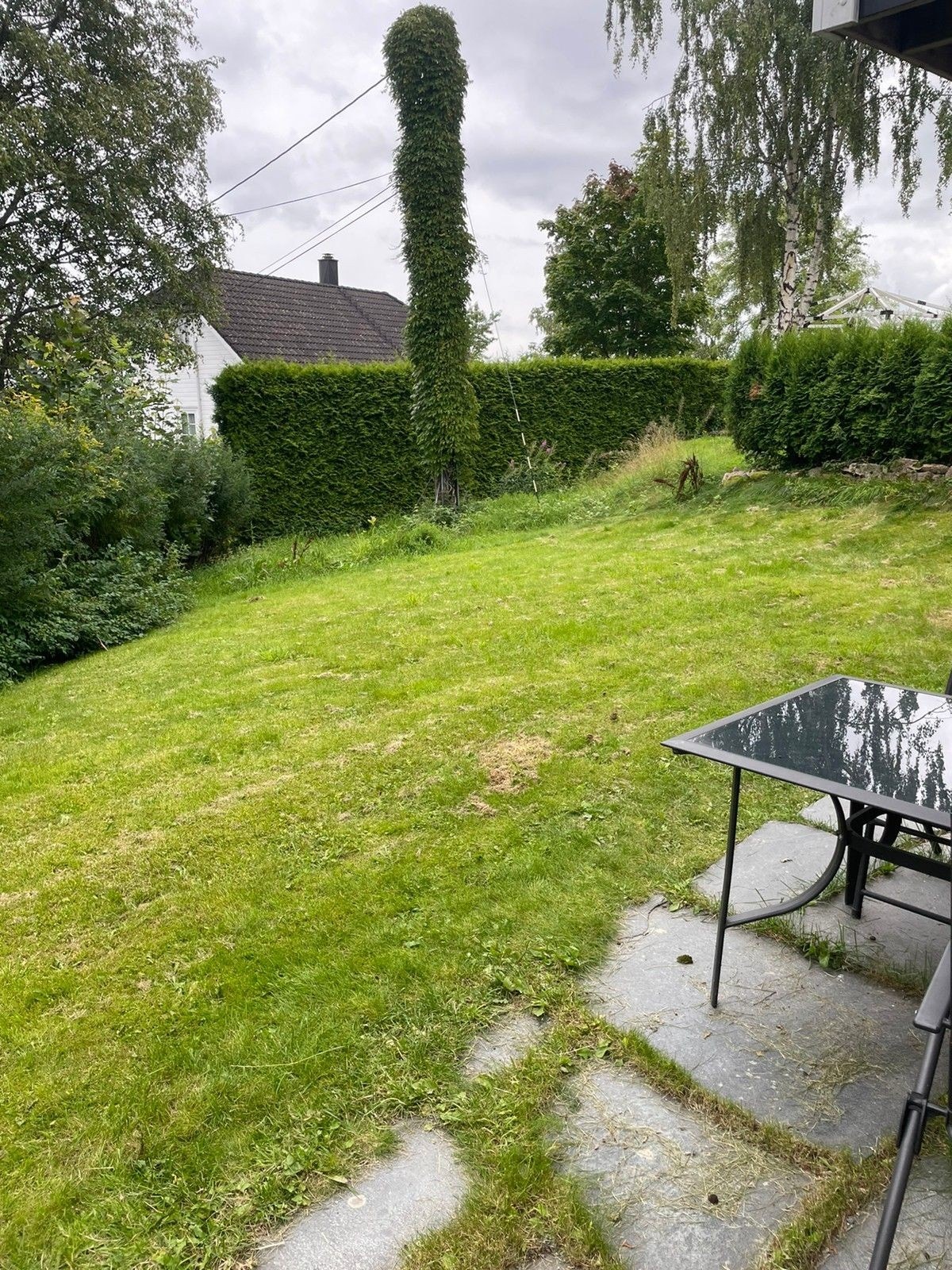 Hage skjermet av med hekk Galleribilde