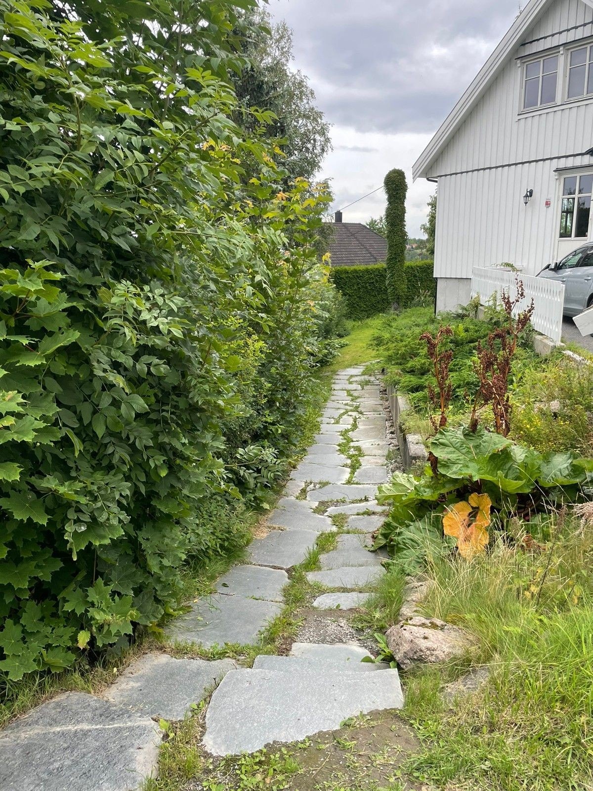 Egen vei til inngang for utleiedel Galleribilde