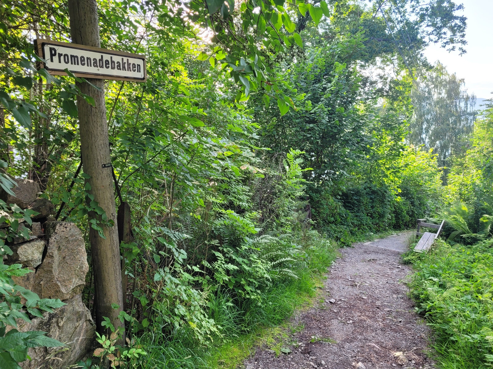 Promenadebakken går fra hovedhuset til Strandpromenaden og badehuset. Galleribilde