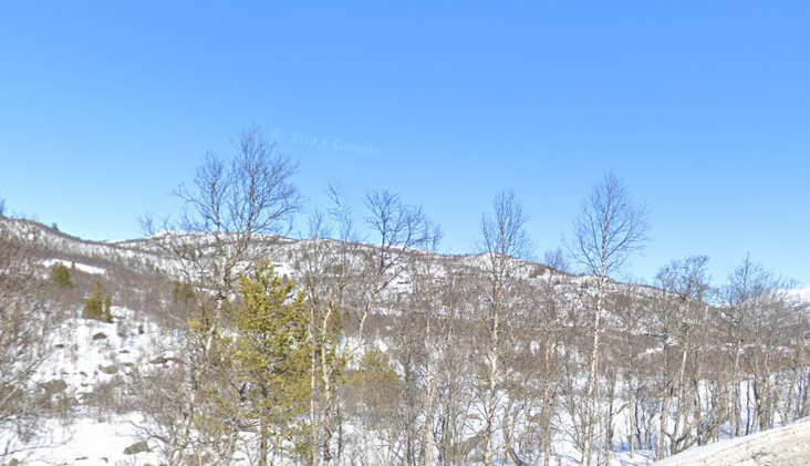 Tomt sett fra E37 Galleribilde