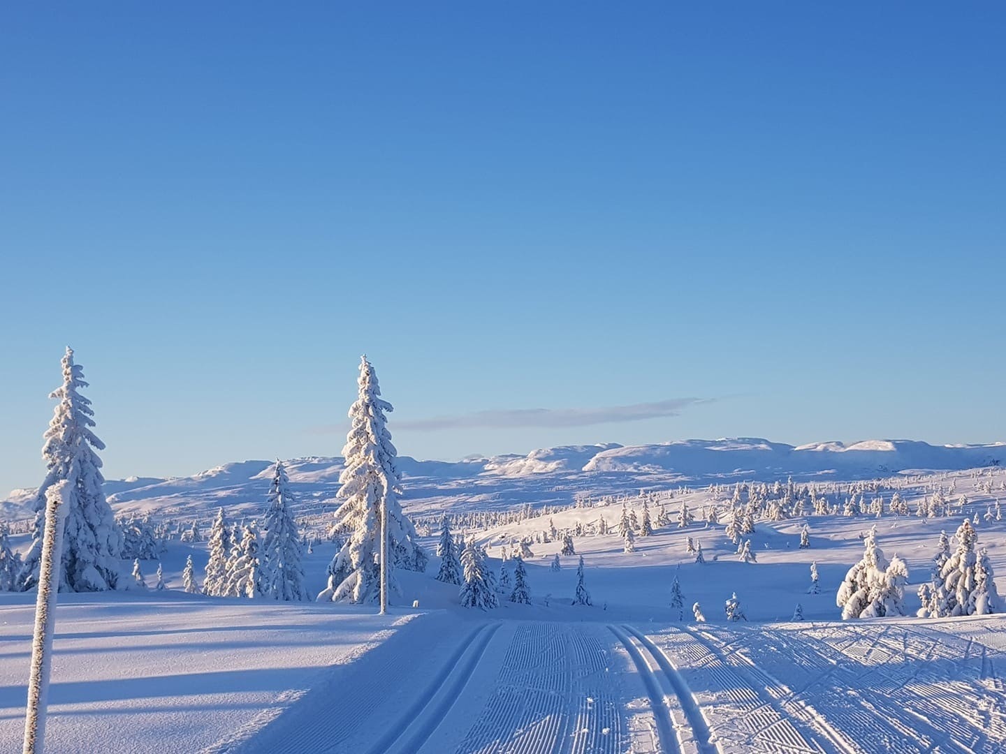 Løypenettet på Blefjell er omfattende og det kjøres opp brede fine traséer for både klassisk og fristil Galleribilde