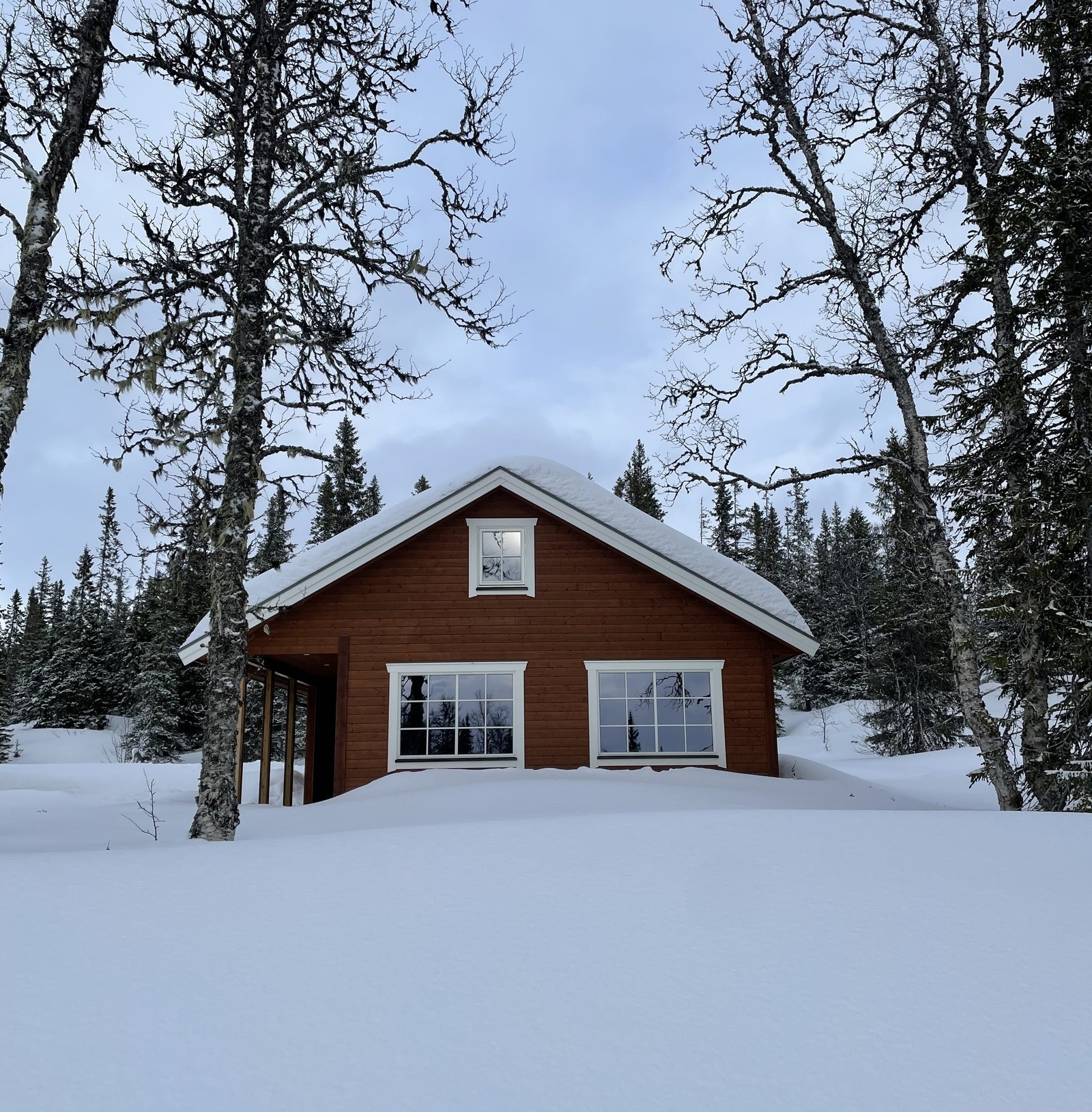 Hytta ligger usjenert med flott utsikt Galleribilde