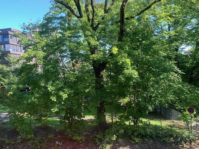 Selger sine egne bilder Galleribilde