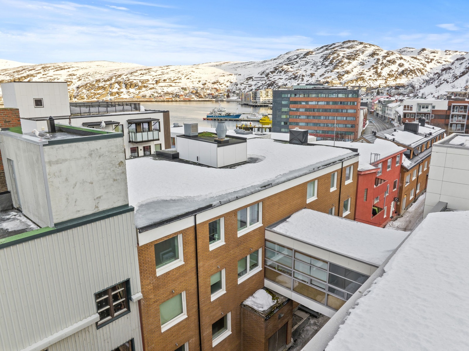 Bakgård Galleribilde