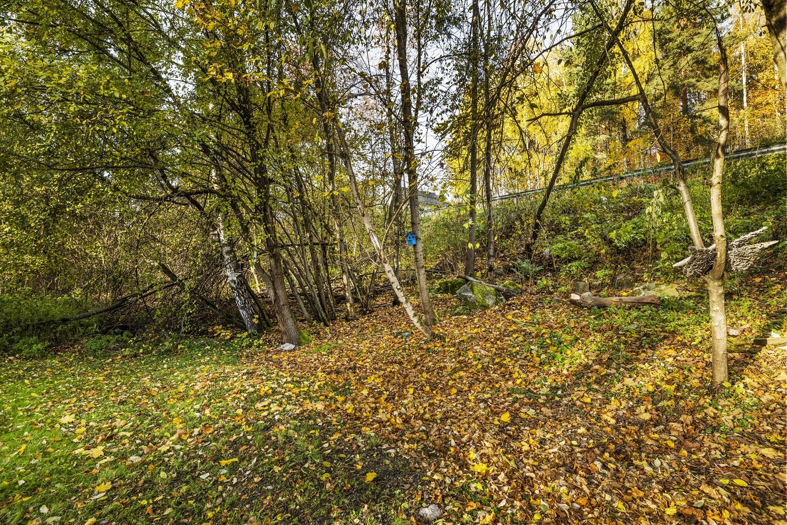 Gode turmuligheter og kort vei til Drammenselva. Galleribilde