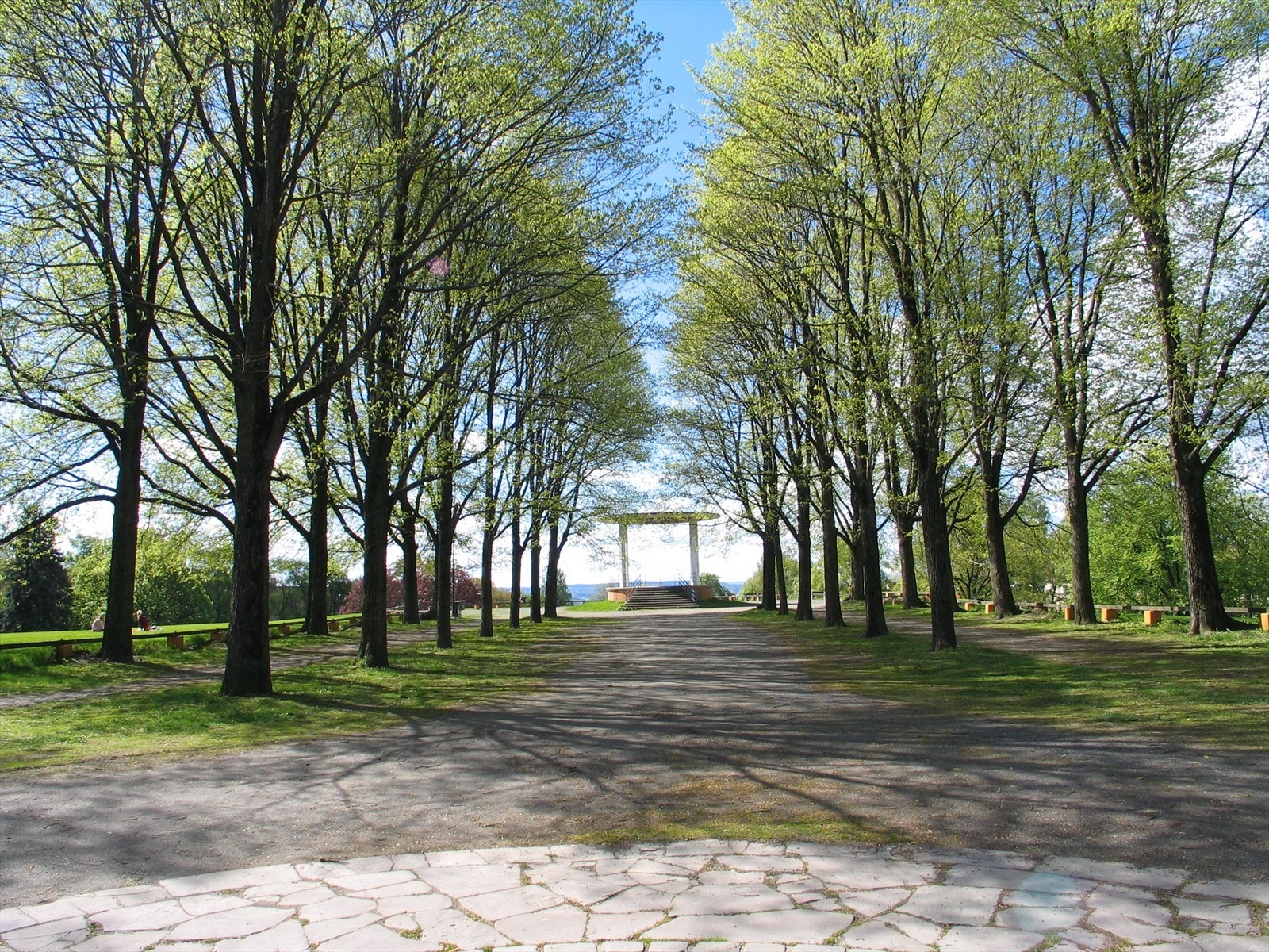 I Torshovparken er det mulighet for aking om vinteren, og sommerstid er det mulighet for ballspill på sandvolleybane og basketbane. Galleribilde