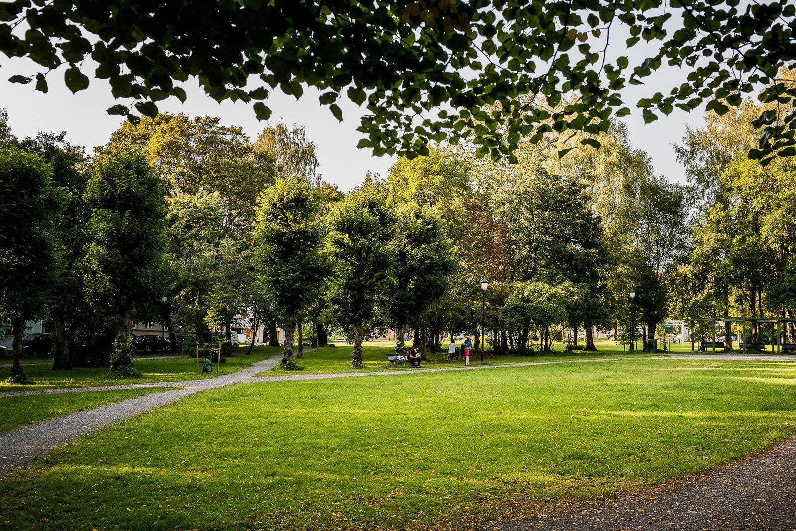 Mange vakre parker og rekreasjonsområder i nærheten. Ta gjerne turen til Hallénparken, Torshovdalen, Akerselva, Iladalen park eller nyt kveldssolen i gressbakken ved Vøyenfallene. Galleribilde