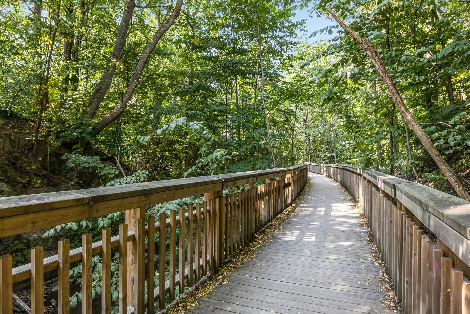 Fine turmuligheter i området med umiddelbar nærhet til Lysakerelvens naturstier Galleribilde
