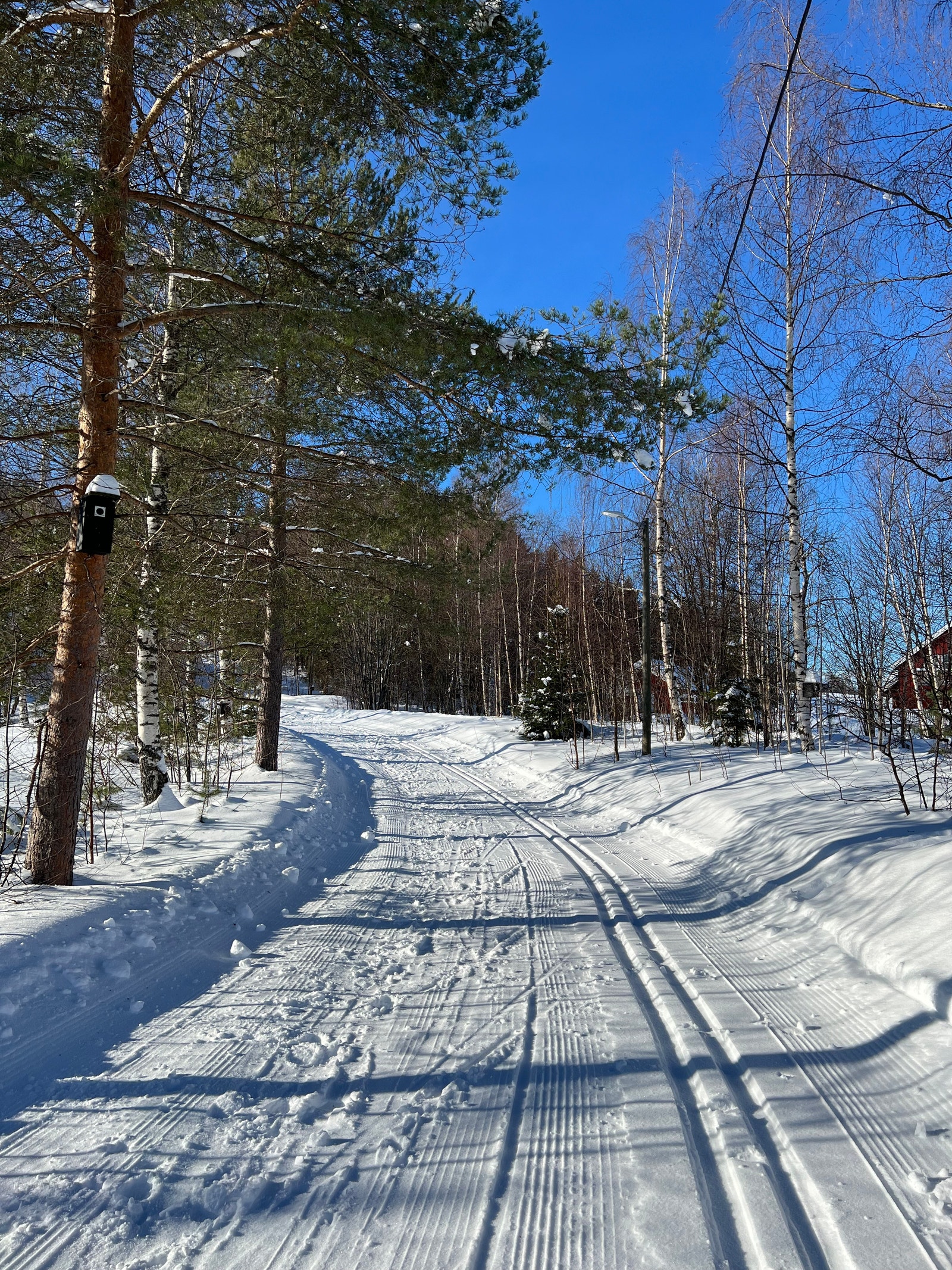 Nærområdet Galleribilde