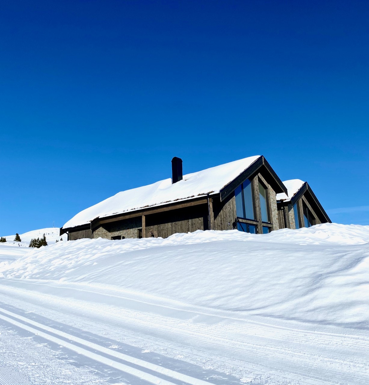 Fjellbu - Vesleknappen. Galleribilde