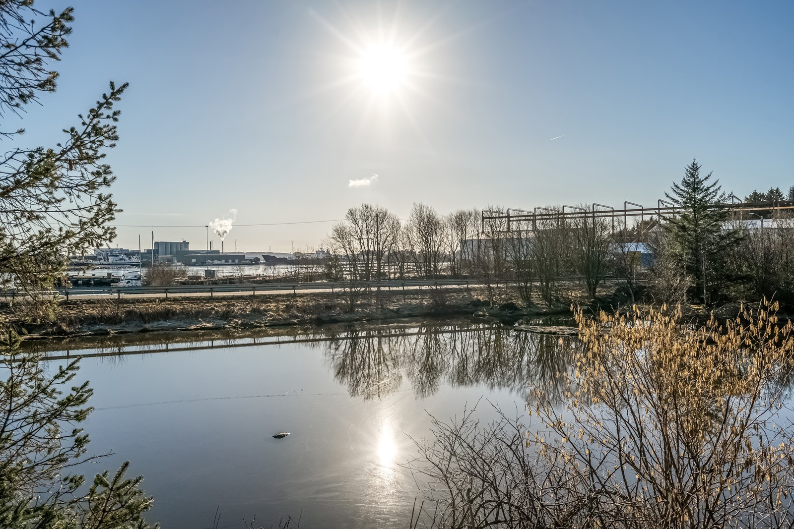 Her liker fuglene seg sommerstid :) Galleribilde