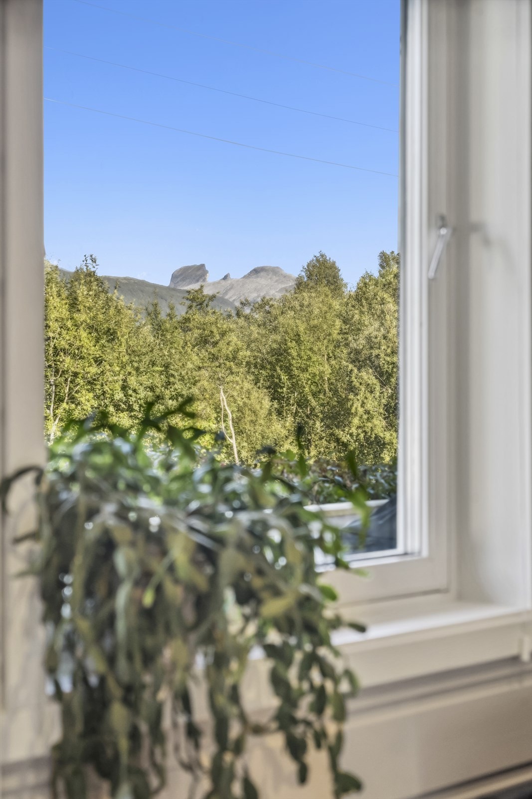 Utsikt Galleribilde