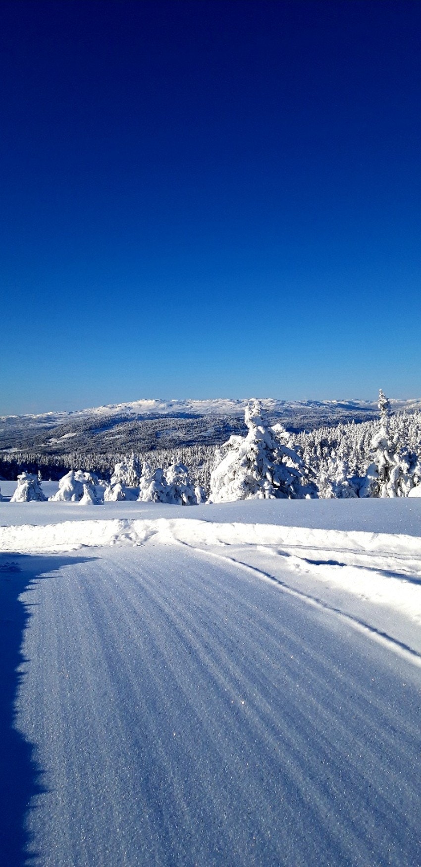 Fantastiske skiløyper i umiddelbar nærhet og flere små topper i nærheten Galleribilde