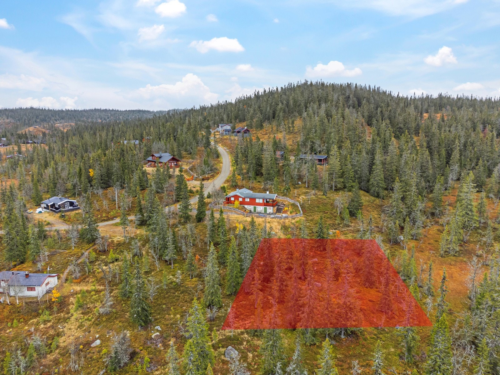 Fra Oslo bruker man ca. 2,5 timer til tomta Galleribilde