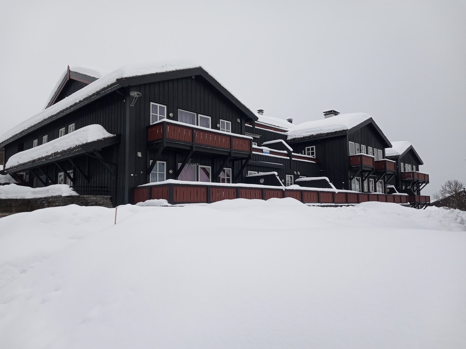 Selgers eget vinterbilde. Galleribilde