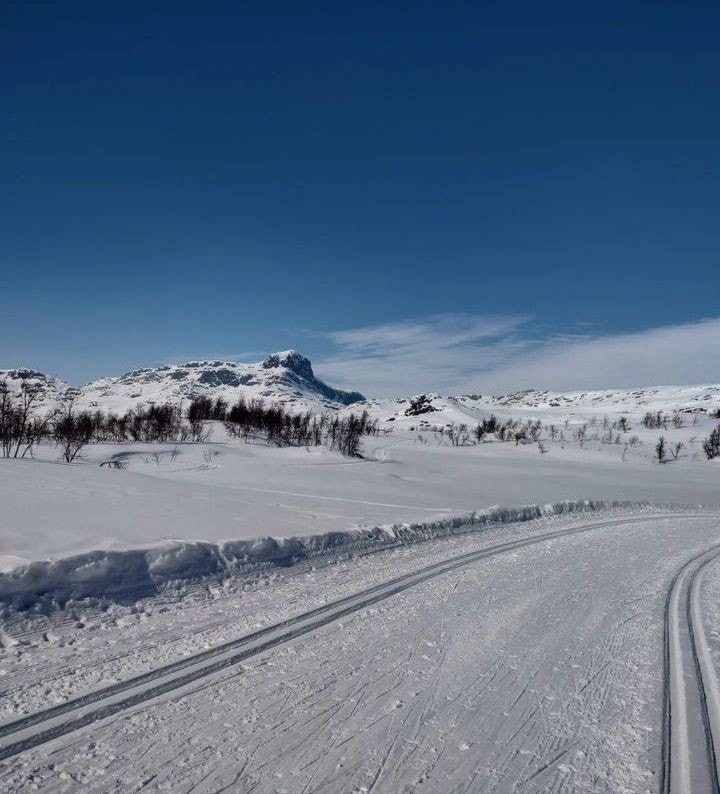 Selgers eget foto Galleribilde