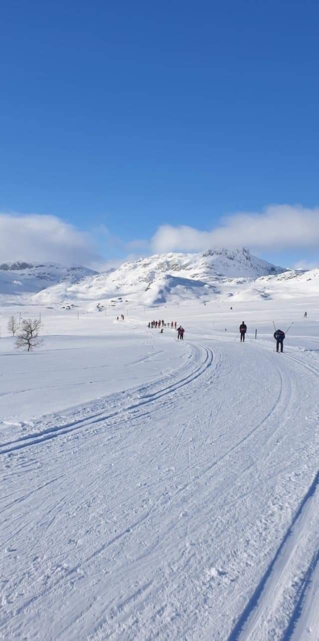 Selgers eget foto Galleribilde