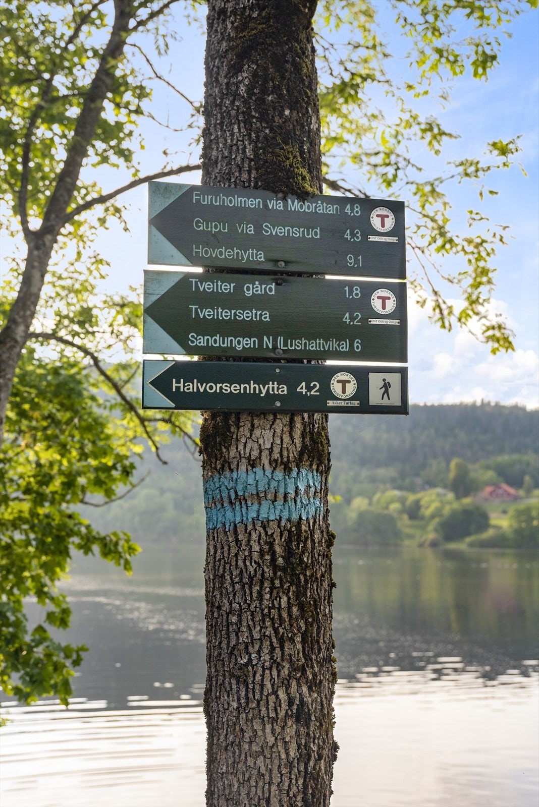 i nærheten finner vi også Semsvann med flotte turområder Galleribilde