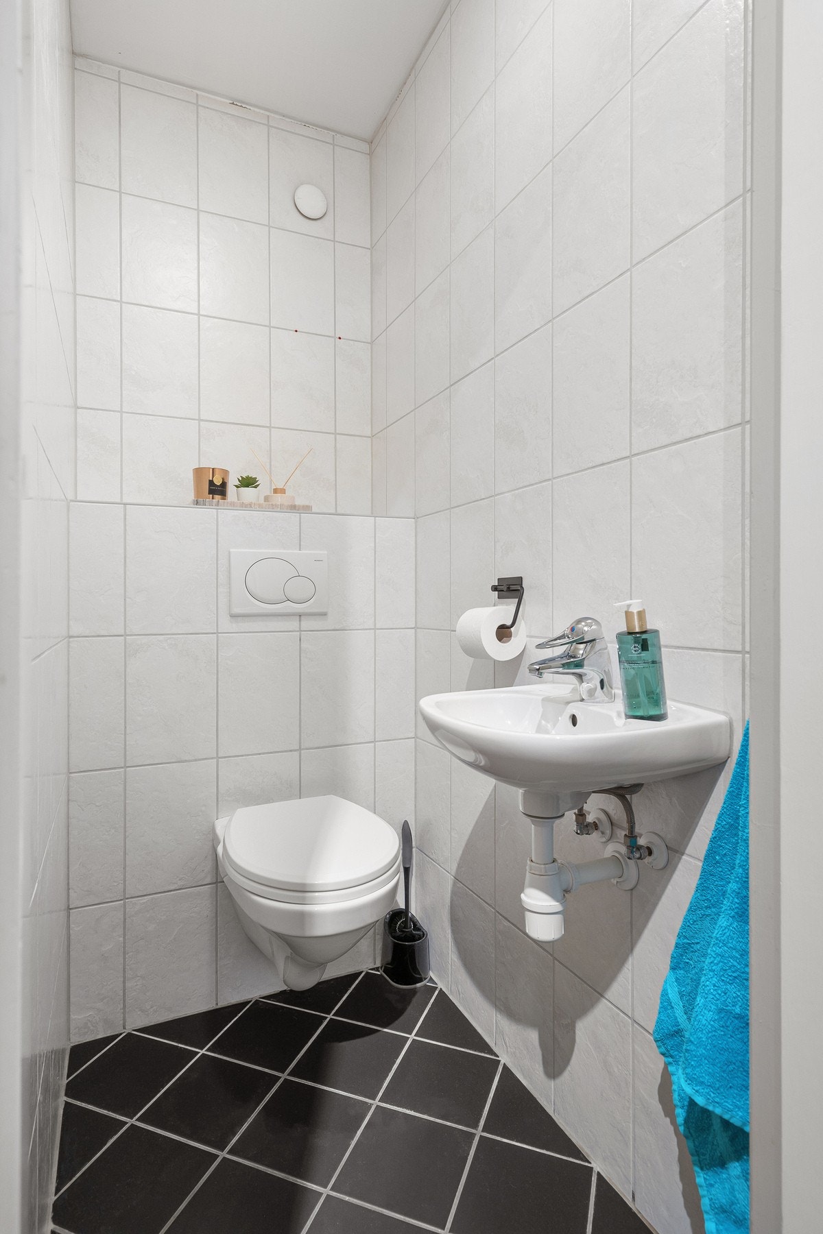 Praktisk toalettrom. Galleribilde