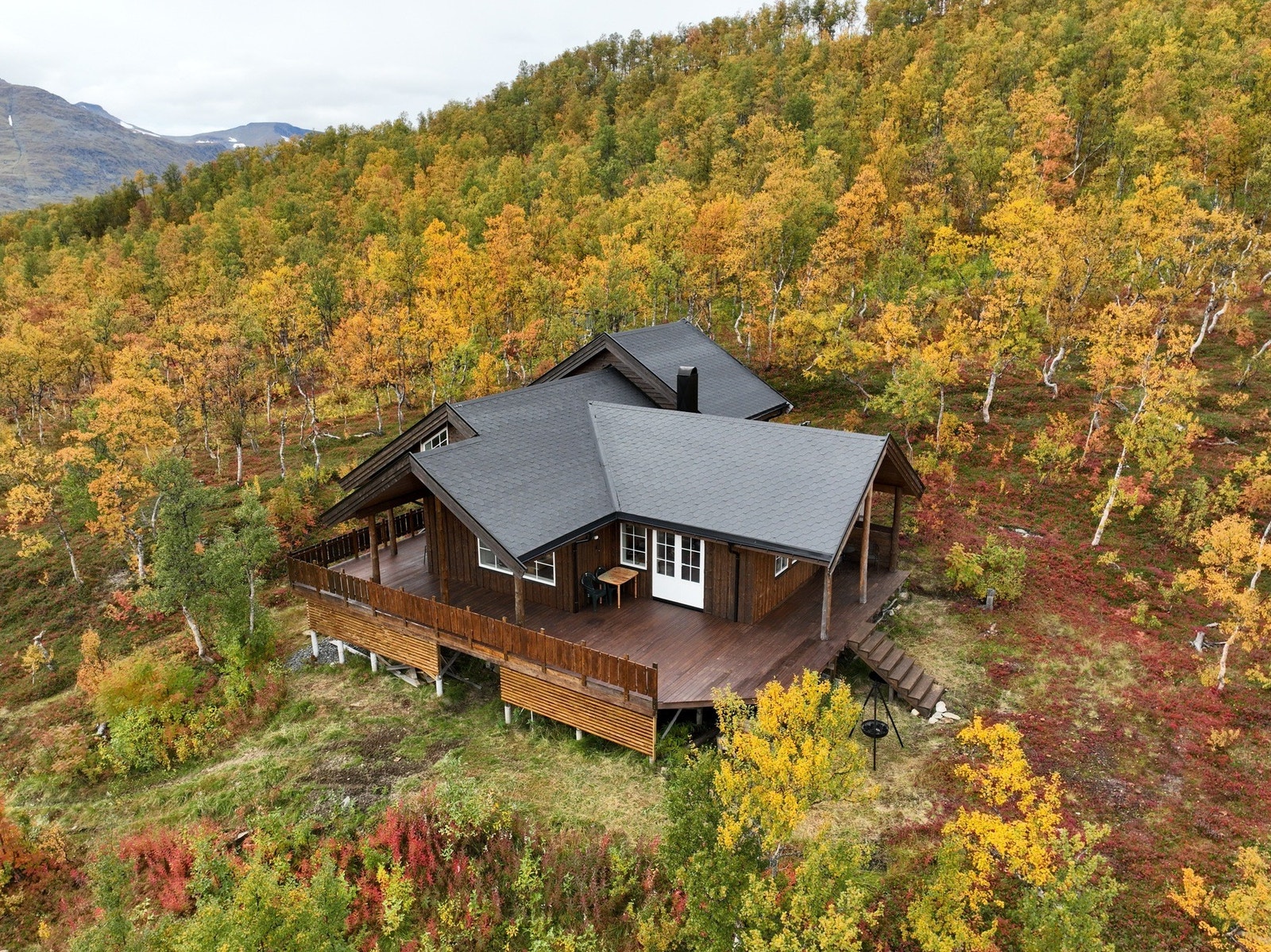 Naturtomt rund hytta Galleribilde