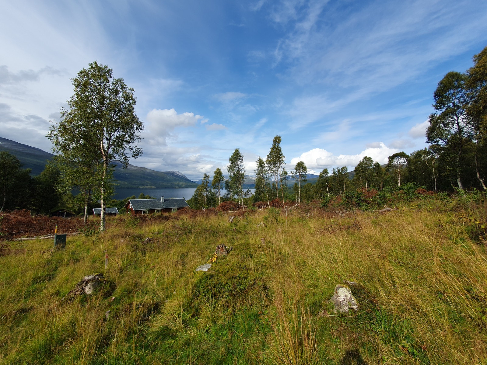Fra tomteområdet i Gjevilvassdalen Galleribilde