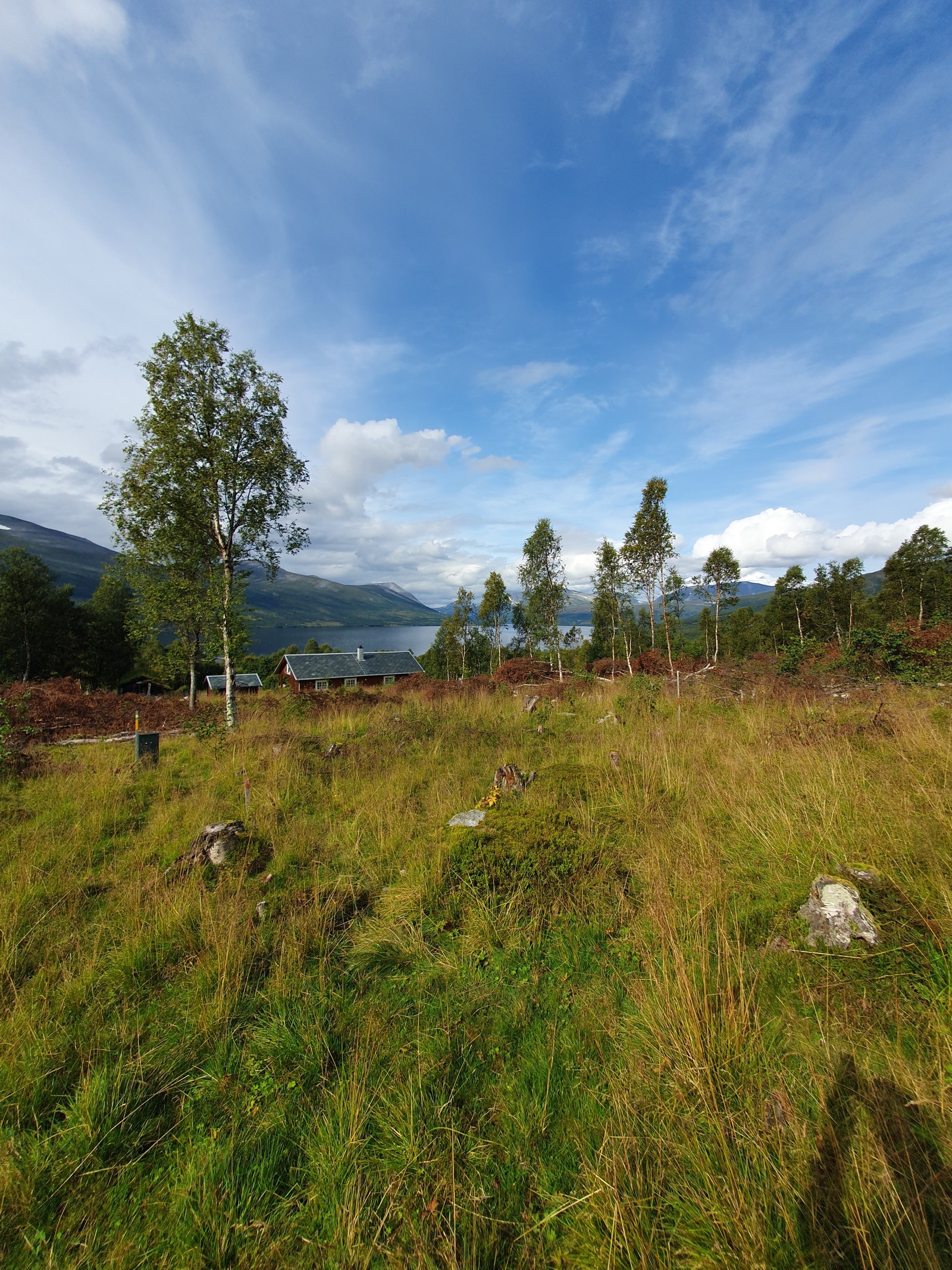 Fra tomteområdet i Gjevilvassdalen Galleribilde