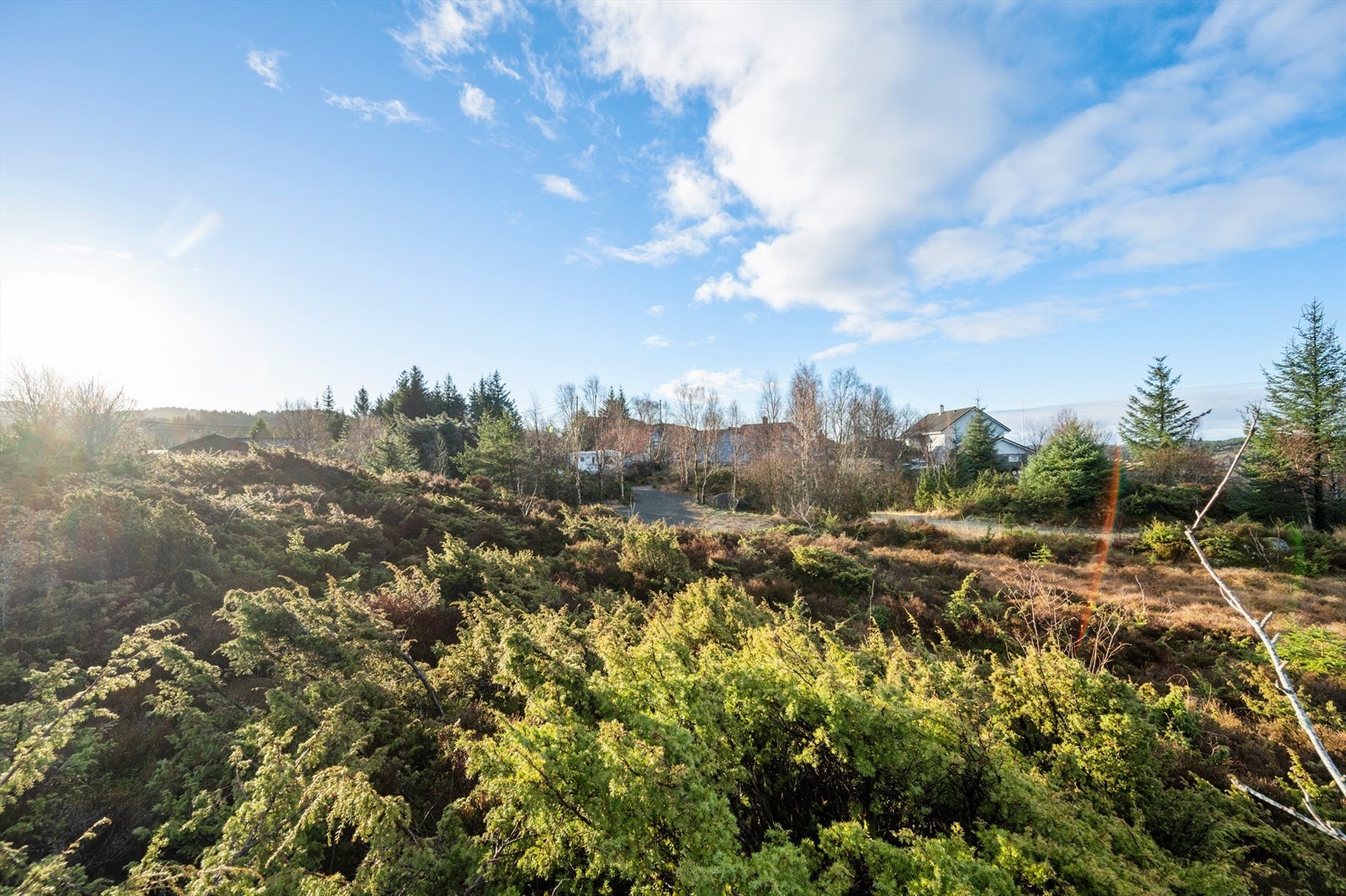Tomten er en råtomt, men det er lite å jevne ut. Galleribilde