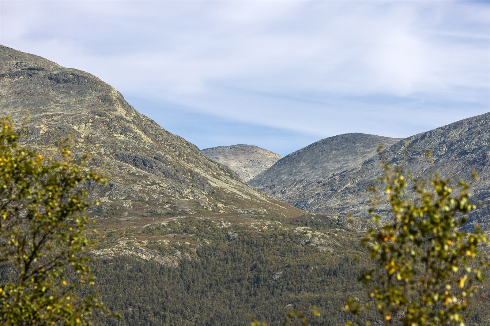 Utsikt mot Trøimsbotten og Kyrkjebønosi Galleribilde
