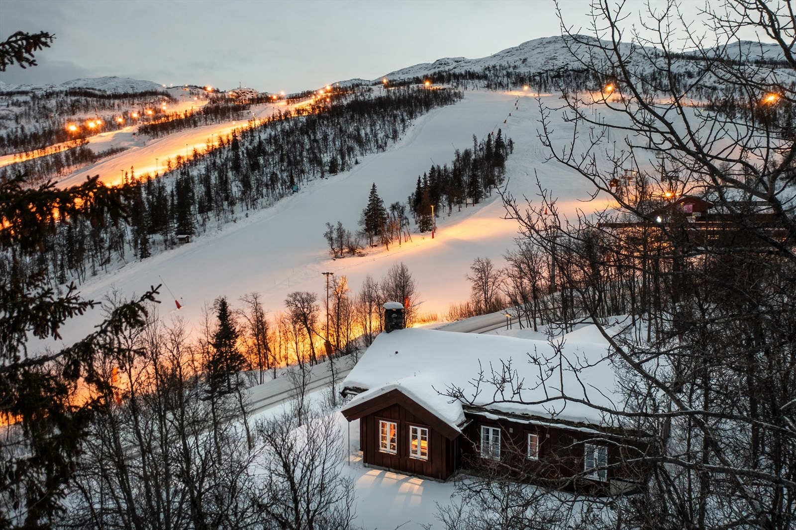 Velkommen til Holleskardvegen 324! Presenteres av Helge B. Enitch og Gjermund S. Rosendal hos EM1 Fjellmegleren. Galleribilde