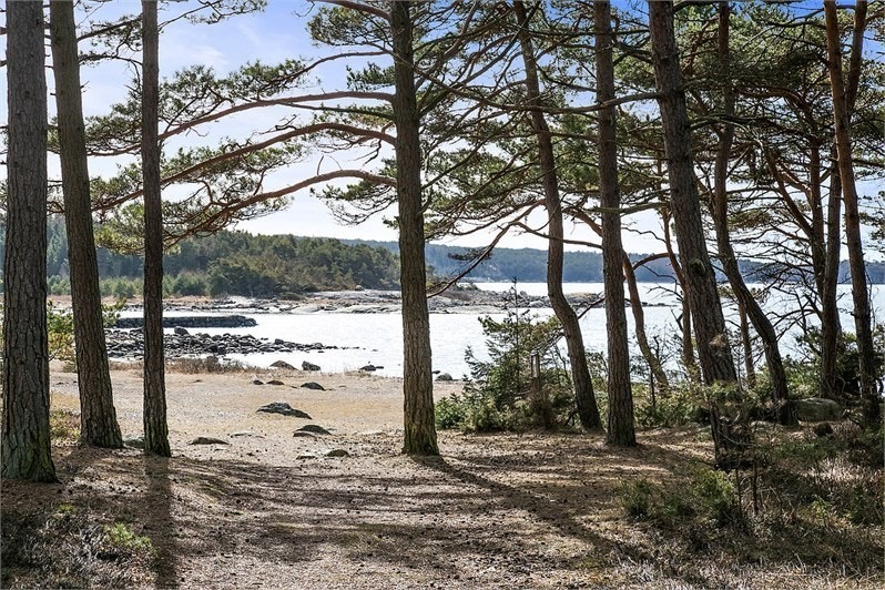 Badstränder inom gångavstånd Galleribilde
